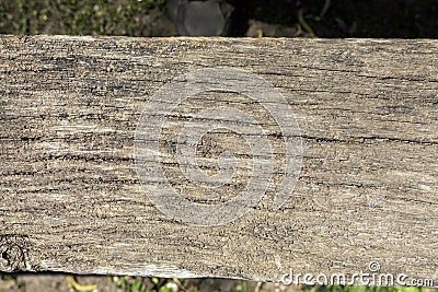 Grey wood texture and background. Wooden surface Stock Photo