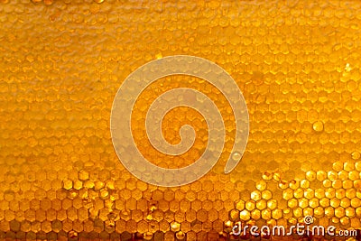 Background texture and pattern of a section of wax honeycomb from a bee hive filled with golden honey Stock Photo