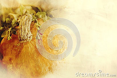 Background texture with a pumpkin and herbs - Still life composition - seasonal vegetables of autumn Stock Photo