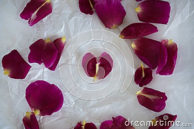 Background Texture rose petals scattered Stock Photo