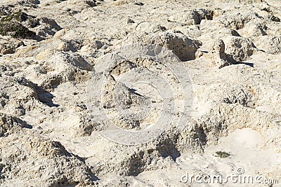 Background texture of stone, the land of white. Stock Photo