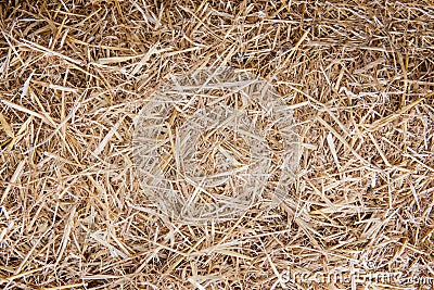 Background texture of straw closeup. Stock Photo