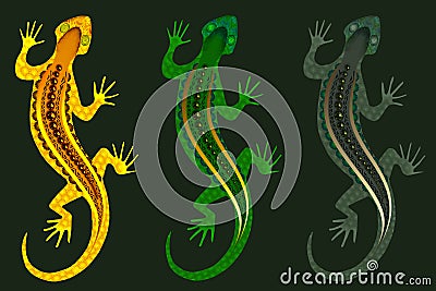 background with three patterned lizards Stock Photo