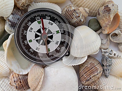 Background on travel with a compass and seashells Stock Photo