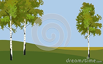 Background tree birch in springtime Vector Illustration