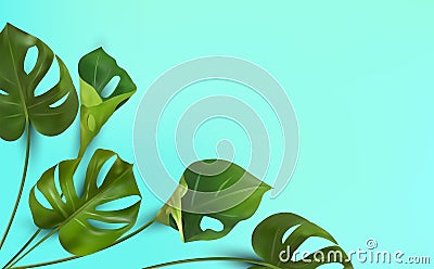 Background of tropical leaves on a blue background, tropical foliage monstera with split-leaf foliage that grows in the Vector Illustration