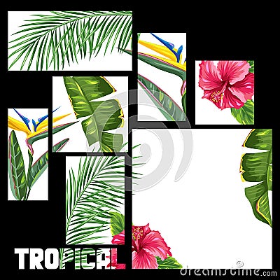 Background with tropical leaves and flowers. Palms branches, bird of paradise flower, hibiscus Vector Illustration