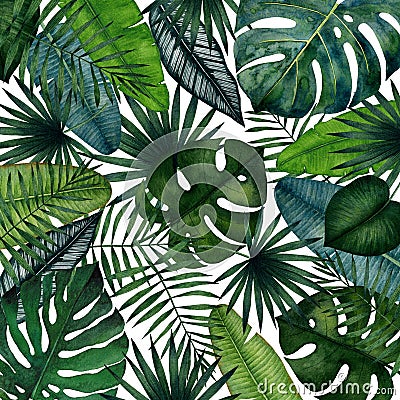 Background of tropical leaves; monstera, palm, banana, saw palmetto, calathea. Watercolor illustration Cartoon Illustration