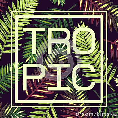 Background with tropical palm leaves and frame. Card. Tropic. Vector Illustration