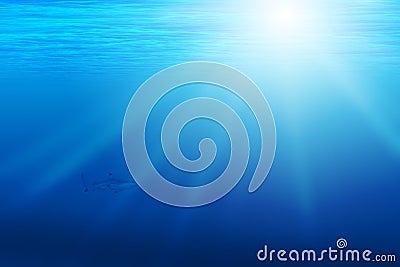 Background with underwater scene Stock Photo