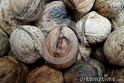 A lot of walnuts. Background with nuts. Late autumn nuts. Stock Photo