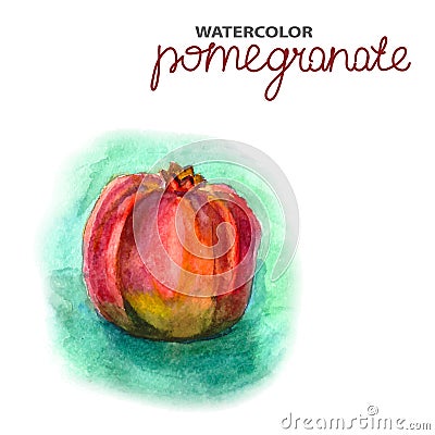 Background with watercolor pomegranate Vector Illustration