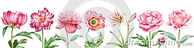 Background with watercolor red and pink peony, rose, poppy and amaryllis flowers Stock Photo