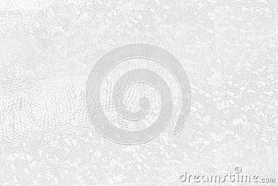 background of white faux python snake skin, crocodile, trend Stock Photo