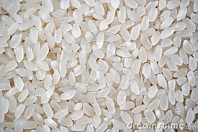 Background from white rice. groats. Top view. Space for lettering and design Stock Photo