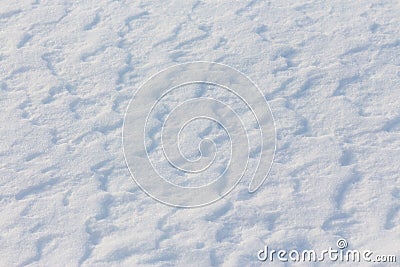 Background of white snow Stock Photo