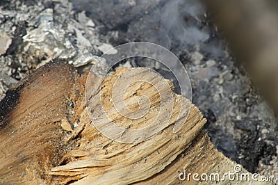 Background wooden log lying in the smoldering ashes Stock Photo