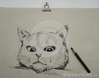 Art Drawing Fine art Sketch Cute Cat Thailand , pencil Stock Photo