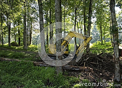 A Backhoe in the Woods During a Clearing Stock Photo