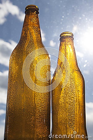 Backlight beer bottles Stock Photo