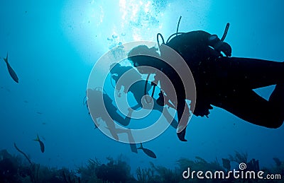 Backlit Divers Stock Photo