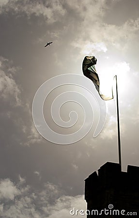 Backlit flag Stock Photo