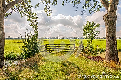 Backlit shot of a closed gate in the foreground of a meadow Stock Photo