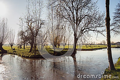 Backlit shot of trees at the edge of an ice-covered ditch Stock Photo