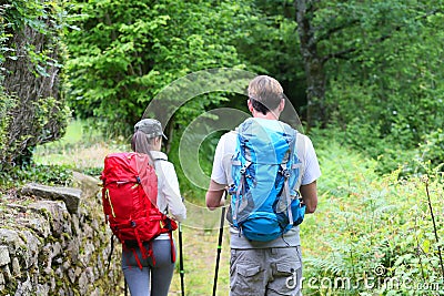 Backpackers hikers walking in forest Stock Photo