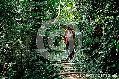 Backside of male travelers walking through jungle. a man hiking in forest dense. concept of Holiday and vacation. Stock Photo
