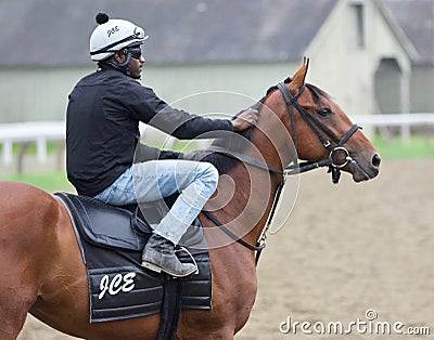 Backstretch Blizz Editorial Stock Photo