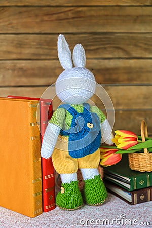 Backview of a knitted white rabbit with a rucksack with books Stock Photo