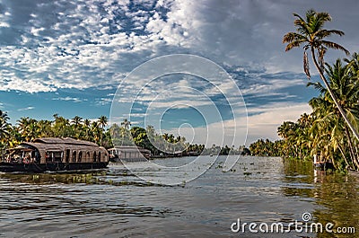 Backwater view with houseboats and palm tree Stock Photo