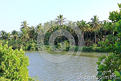 Backwater View in the Vayalapra Floating Park in Kannur District in Kerala, India Stock Photo