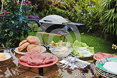 Backyard bar-b-que Stock Photo