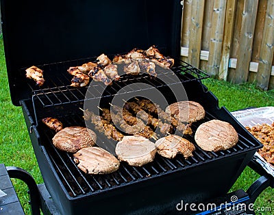 Backyard Barbecue Stock Photo