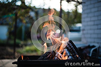 Backyard Blaze: Fire Grill Extravaganza Stock Photo
