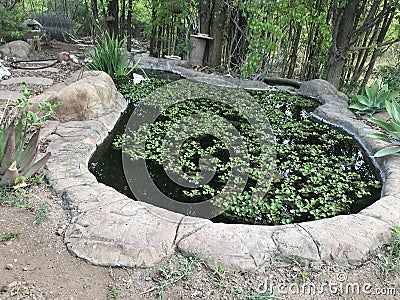 Backyard farm management with a Fishpond Stock Photo