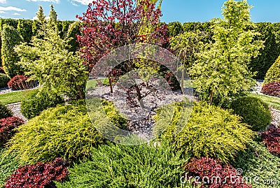 Backyard Garden Full of Colorful Decorative Trees Stock Photo