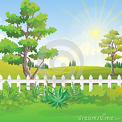 Backyard Garden Landscape in Summer day with Sunlight on Blue Sky Vector Illustration