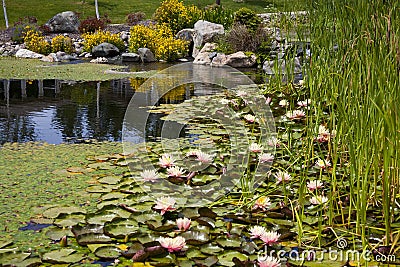 Backyard Pond Water Feature Stock Photo