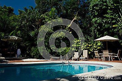 Backyard pool with palm trees Stock Photo