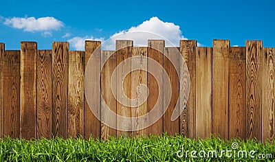 Backyard in summer Stock Photo