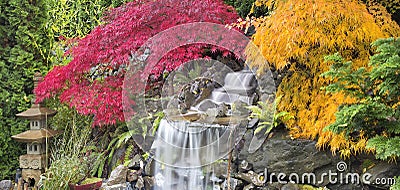 Backyard Waterfall with Japanese Maple Trees Fall Stock Photo