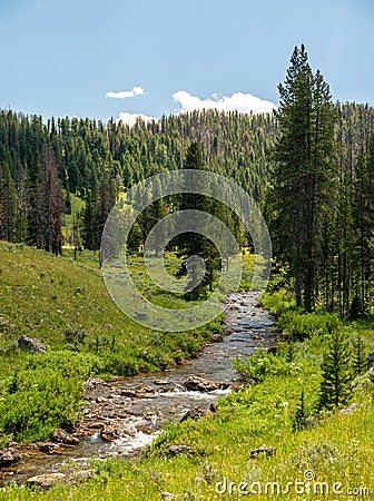 Bacon Rind Creek Passes Through Meadow In The North West Corner Of The Park Stock Photo