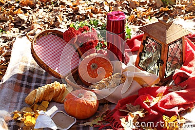 Picnic in the autumn park. Picnic with sandwiches and tea in a thermos Stock Photo