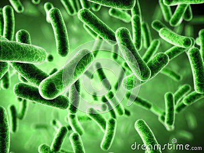 Bacteria Stock Photo