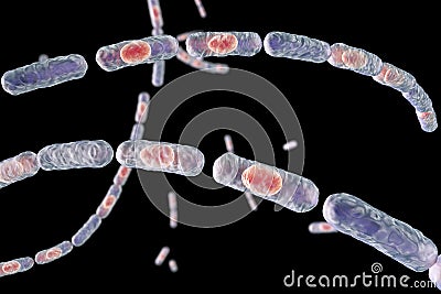 Bacteria Bacillus anthracis Cartoon Illustration