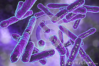 Bacteria Bifidobacterium, gram-positive anaerobic rod-shaped bacteria Cartoon Illustration