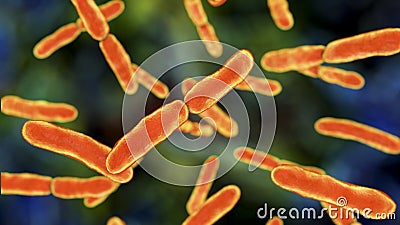 Bacteria Bifidobacterium, normal flora of human intestine Cartoon Illustration